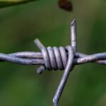 alambres que limitan suelos