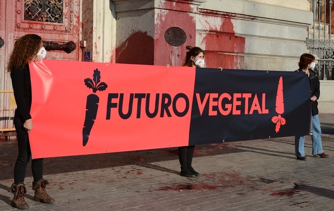 <span class="vcard">lynx</span>