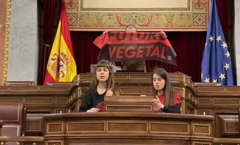 Nos pegamos en el Congreso de los Diputados