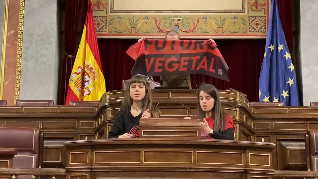 Nos pegamos en el Congreso de los Diputados