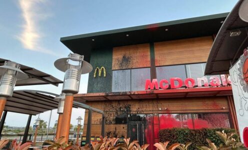Bañamos de “sangre” y “petróleo” un Mc. Donalds.